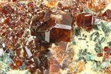Deep-Red Gemmy Hessonite Garnets with Clinochlore - Italy #352079-1